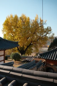 부산 근교 가을 여행, 밀양 금시당, 위양지 방문한 하루